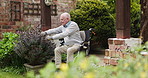 Nature, gardening and senior man in a wheelchair checking growth development of plants at home. Hobby, retirement and elderly male person with disability working on lavender in his outdoor backyard.