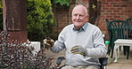 Gardening, senior man face and wheelchair outdoor of a home with agriculture and retirement in backyard. Plant, house and elderly male person with a disability in nature with gardener and scissor