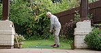 Mini golf, swing and senior man in backyard for sports, training and relax with hobby on artificial grass. Game, putting course challenge and club on lawn with stroke, hit and ball in garden of home.