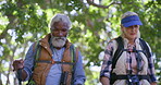 Senior, couple or hiking with stick in forest for retirement wellness, adventure or explore trail. Interracial people, map or walking with help in woods for fitness, trekking or talking with backpack