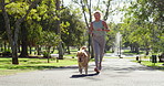 Mature woman, running and exercise with dog for fitness or outdoor workout at park in nature. Active, female person or runner with pet animal for cardio, jog or bonding together on path at forest