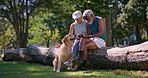 Mature couple, phone and dog in park for relax, funny message and social media on log. Happy man, woman and Golden Retriever with mobile for contact, cute animal blog and care for pet in nature