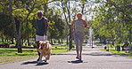 Mature, Interracial couple and running with dog at park for bonding, animal care or fresh air in nature. Mature man, woman and labrador with leash for exercise together on path at outdoor forest