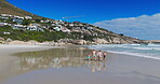 Parents, kids and holding hands with walking on beach for summer vacation, tropical journey and bonding together. Family, children and ocean water with holiday fun, calm morning and travel adventure