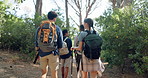 Nature, hiking and group of friends in forest for activity, hobby or backpacking on vacation. Journey, sticks and back of people trekking in woods for exploring, tourism or adventure on holiday.