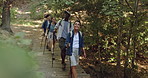 Vacation, hiking and people with fitness, travel and nature with hobby, break or environment. Group, outdoor or men with women, ecology or wellness with countryside, recreation or journey with cardio
