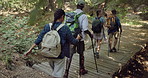 Back, hiking and people with fitness, travel and nature with hobby, recreation and environment. Group, outdoor and men with women, ecology and wellness with countryside, vacation and weekend break