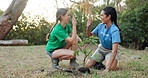 Happy women, volunteer or growth with plant or high five for community service or eco friendly environment. Female people, environmentalist or social worker with smile for NGO or natural conservation