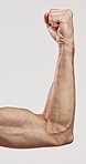 Fitness, muscle and arm of man in studio for sports athlete, workout and bicep flexing progress. Body care, strong and bodybuilder with person on white background for training, exercise and wellness