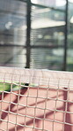 Arena, sports and fitness with net on tennis court for competition, challenge match and training ground. Tournament, equipment and game with closeup in padel turf pitch in club for outdoor practice