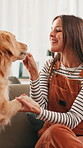 Home, woman and dog with treat for training, learning new trick or bonding together with playing. Sofa, animal and golden retriever with female person for feeding, pet snack or reward for development