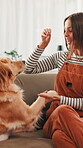 Couch, woman and dog with treat for training, learning new trick or bonding together with playing. Home, animal or golden retriever with female person for feeding, pet snack or reward for development