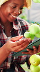 Greenhouse, tablet and hands of farmer with vegetables, plants and harvest for sustainability. Business, entrepreneur and technology for growth inspection of crops, tomatoes and garden in environment