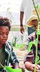 Child, mom or teaching farming with vegetables, tablet or harvest for greenhouse sustainability. Mother, black family or kid learning for growth inspection of crops, tomatoes or plants in environment