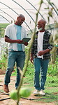African men, tablet and discussion in greenhouse with report, stats or results for vegetable crops. People, farm manager and touchscreen with team on app for agro business, plants or food production