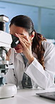 Science, microscope and woman in laboratory for research, development or virus inspection. Laptop, results and scientist with equipment for online medical study, innovation and biotech engineering
