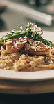 Plate, kitchen and gourmet dish with food serving for cooking, hospitality or catering service. Empty, closeup or turn with delicious cuisine for fine dining, professional recipe or culinary art
