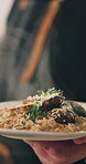 Person, hands and chef serving plate with food in kitchen for cooking meal, hospitality or catering service. Closeup, professional or gourmet dish with cuisine for dinner, recipe or culinary art
