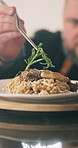 Person, hands and chef with garnish on plate for meal presentation, culinary art or hospitality at home. Closeup, cook or catering service with ingredient for fine dining, gourmet dish or cuisine