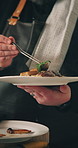 Man, hands and chef with serving of food in kitchen for cooking meal, hospitality or catering service. Closeup, male person or dish with plate, ingredients or recipe for dinner, cuisine or nutrition