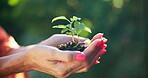 Hands, plant and woman with seedling outdoor for sustainable growth, earth day and climate change hope. Gardening, green project and person with sapling soil in nature for eco friendly development