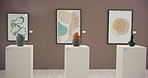 Art, paintings and vases in gallery for exhibition of creative expression with frames and sculptures. Abstract, collection and pictures in empty studio for arrangement, decoration or showcase