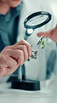 Scientist, hand and plant with magnifying glass in laboratory for botany, medical research and breakthrough. Chemist, biotechnology and examine sample leaf for pharmaceutical or sustainable ecology