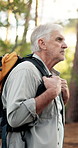 Adventure, hiker and man with backpack in nature, walking or journey for holiday in woods or active. Outdoor, trekking and senior person in forest for vacation, hiking or exploration for fitness