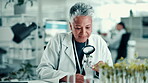 Laboratory, woman and scientist with magnifying glass for research, investigation and natural herbs. Healthcare, mature female and expert with petri dish for sample test, biotechnology and medical