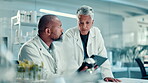 Scientist, people and team on tablet in lab for medical research, experiment and botany. Mature staff, digital and feedback for investigation, genetic change and information on ecology transformation