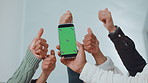 Business people, hands and thumbs up with phone screen or mockup for good app or approval. Group, employees or mobile smartphone display with team, like emoji or yes sign for UI, UX or media platform