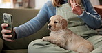 Hands, puppy and selfie on sofa, home and peace sign for post on web, relax and bonding in living room. Person, pet dog and golden retriever with photography, profile picture and v emoji at apartment