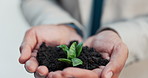 Businessman, hands or soil with plant growth in office for green investment, financial return or ESG. Finance investor, employee and leaves for earth day project, sustainable funds and development