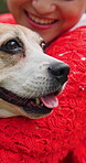 Smile, hug and dog with woman in park for bonding, pet training and foster care. Animal adoption, happiness and love with person and beagle in nature for petting, summer holiday and canine friend