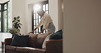 Woman, cleaning living room and sofa in home with complete task, happy and tidy for vacation rental. African person, realtor and neat with couch, pride and accommodation services in lounge at house