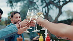 Bbq, toast and friends with smile, cheers and bonding together with celebration, event and party. Outdoor, barbecue and people with alcohol, champagne and social gathering with vacation and break