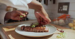 Cooking, chef and hands with food in kitchen, culinary skills and herbs for flavor and presentation. Healthy, meal and process for cuisine preparation, pork chop and meat on plate for restaurant