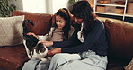 Smile, mother and child with cat at house for love, companion bonding and childhood pet. Happy, woman and stroke animal with girl, rescue feline and friendship connection of domestic wellness on sofa