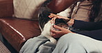 Hands, cat and family on sofa, play and touch fur with cuddle, stroke and love for bonding in home. People, child and feline animal with pet, connection or relax on couch in living room at house