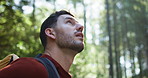 Thinking, hiking and man in forest, nature and explore with vacation, weekend break and travel. Outdoor, hiker and happy person in woods, journey and trekking with wonder, sightseeing and environment
