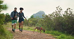 Fitness, hiking and couple with dog in nature for bonding, exercise or adventure together. Health, athletes and man with woman for outdoor trekking with puppy for workout or wellness in morning.
