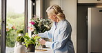 Arrangement, flowers and elderly woman in home with smile, maintenance or aesthetic in green decoration. Sorting, happy or old person in kitchen with plant, clean air or floral display in house care.
