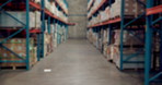 Industry, logistics and warehouse with inventory, stock or storage for delivery and shipping. Ecommerce, retail and supply chain with boxes or packages on shelves in empty depot for distribution