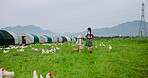 Back, mother and daughter walking on chicken farm for bonding, livestock and basket of eggs. Farmer, parent and child holding hands in field with journey, agriculture and poultry for agro business.