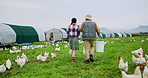 Chicken, farm and back of couple in nature for sustainable, agriculture or live stock business. Poultry, walking and man with woman outdoor by animals for teaching harvest on ranch in countryside.