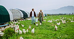 Bucket, walk and chicken with couple on farm for feeding, inspection or agriculture teamwork. Poultry livestock, free range ranch and help with man and woman in countryside for organic egg production