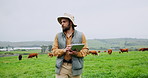 Farming, cows and man with tablet, agriculture and walking with sustainability, internet and countryside. Outdoor, farmer and person with tech, inspection and app for checklist, livestock and cattle