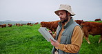 Farming, cattle and man with tablet, agriculture and typing with sustainability, inspection and countryside. Outdoor, farmer and person with tech, environment or app for checklist, livestock and cows
