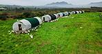 Aerial view, chicken coop and landscape of farm for sustainable agriculture, production or livestock. Drone, free range poultry and organic animals with hen house at eco friendly pasture with grass