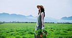 Walking, farm and woman with basket in countryside for growth, harvest and natural produce. Agriculture, nature and farmer with organic food for sustainable gardening, ecology and crops in field